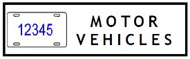 Motor Vehicles